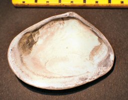 &copy;  Thijs de Boer